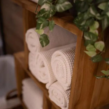 & Wellness Revenite Apartment