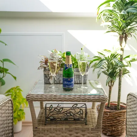 & Wellness Revenite Apartment