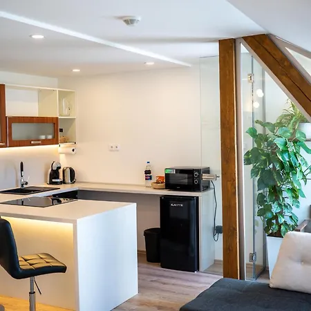 & Wellness Revenite Apartment